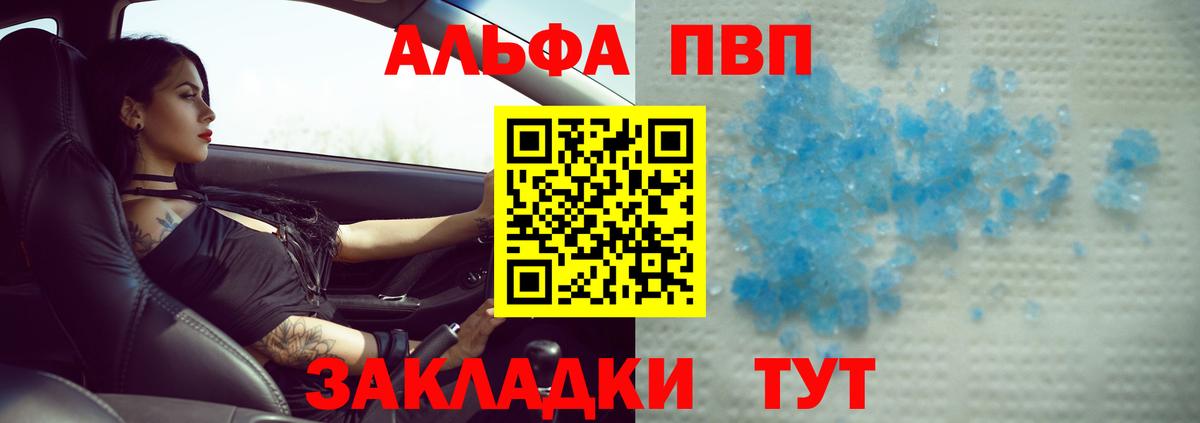 Alfa_PVP СК КРИС Сосновый Бор