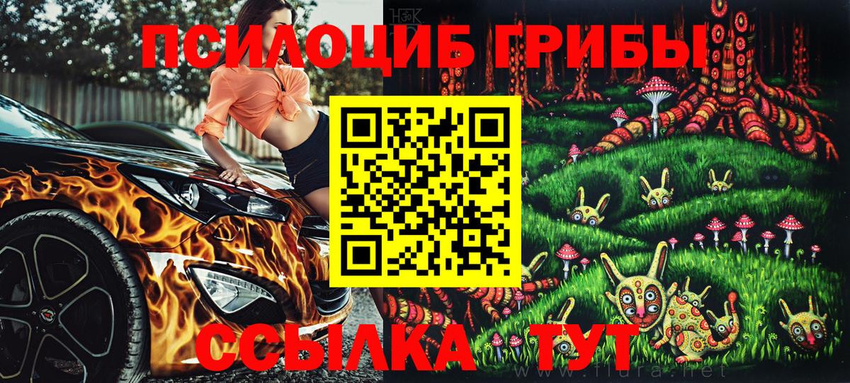 Сосновый Бор  Псилоцибиновые грибы прущие грибы  Вход с VPN 