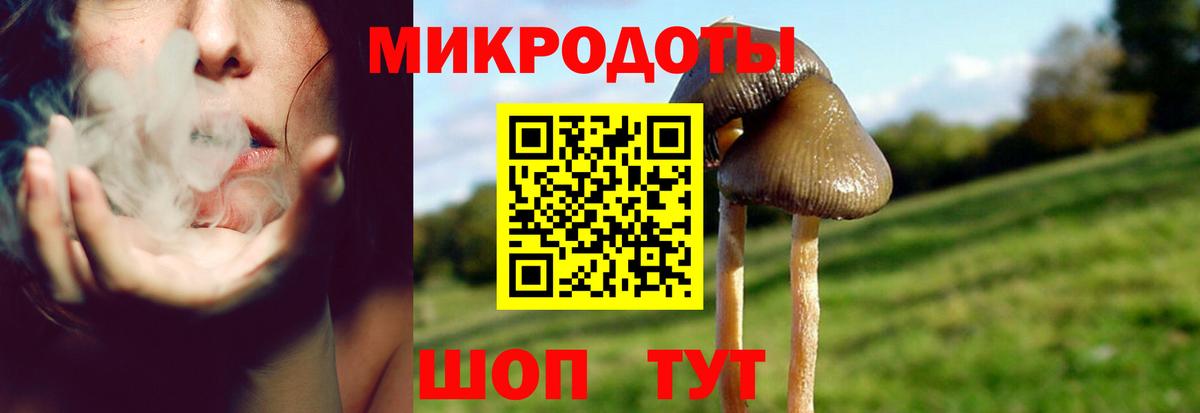 Галлюциногенные грибы ЛСД Сосновый Бор